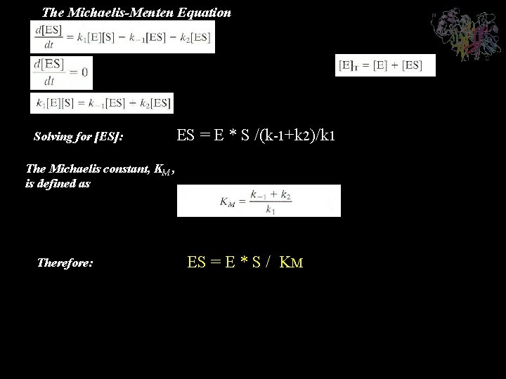 The Michaelis-Menten Equation Solving for [ES]: ES = E * S /(k-1+k 2)/k 1