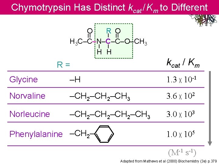 Chymotrypsin Has Distinct kcat / Km to Different Substrates = – – – =