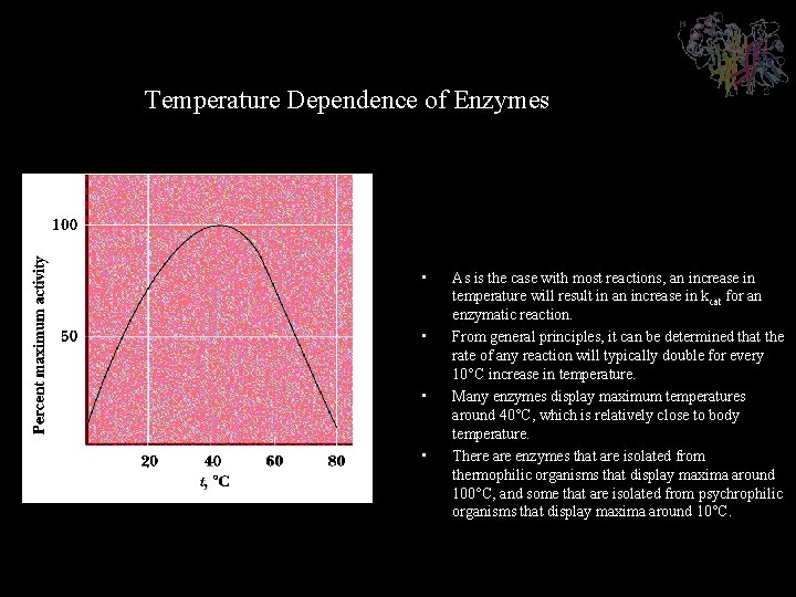 Temperature Dependence of Enzymes • • As is the case with most reactions, an