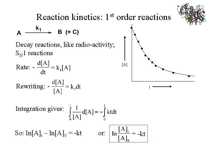 Reaction kinetics: 1 st order reactions • Decay reactions, like radio-activity; SN 1 reactions