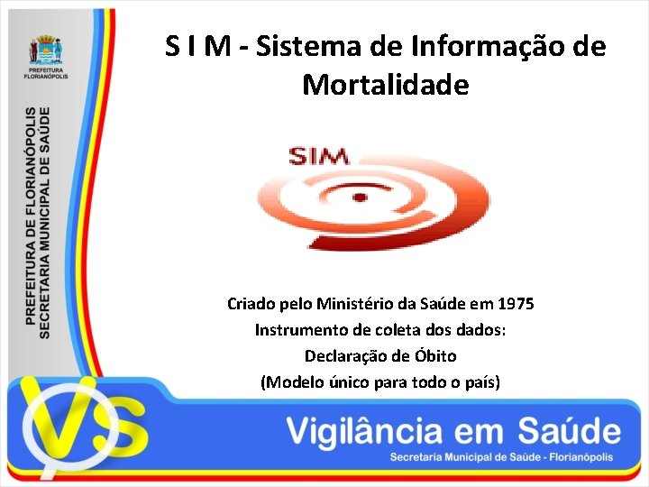 S I M - Sistema de Informação de Mortalidade Criado pelo Ministério da Saúde