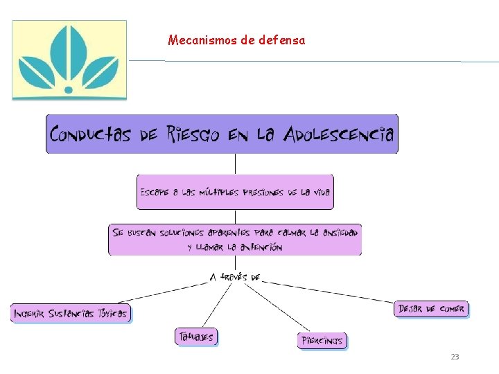 Mecanismos de defensa 23 