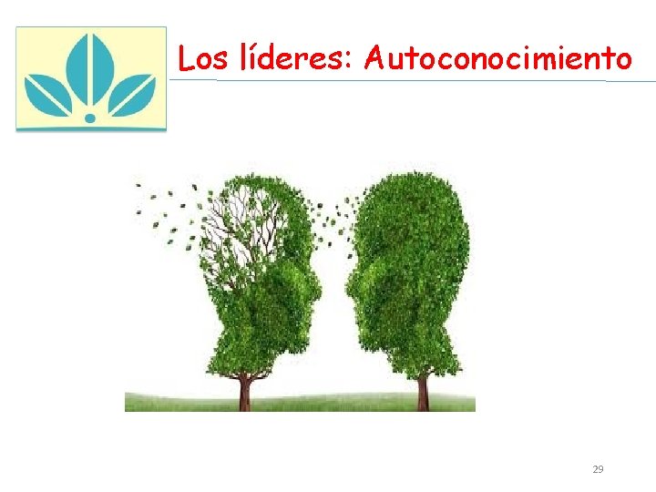 Los líderes: Autoconocimiento 29 