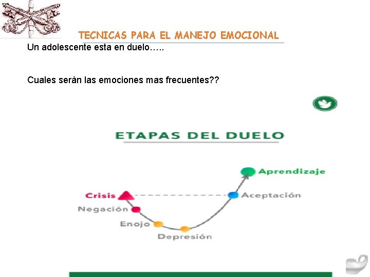 TECNICAS PARA EL MANEJO EMOCIONAL Un adolescente esta en duelo…. . Cuales seràn las