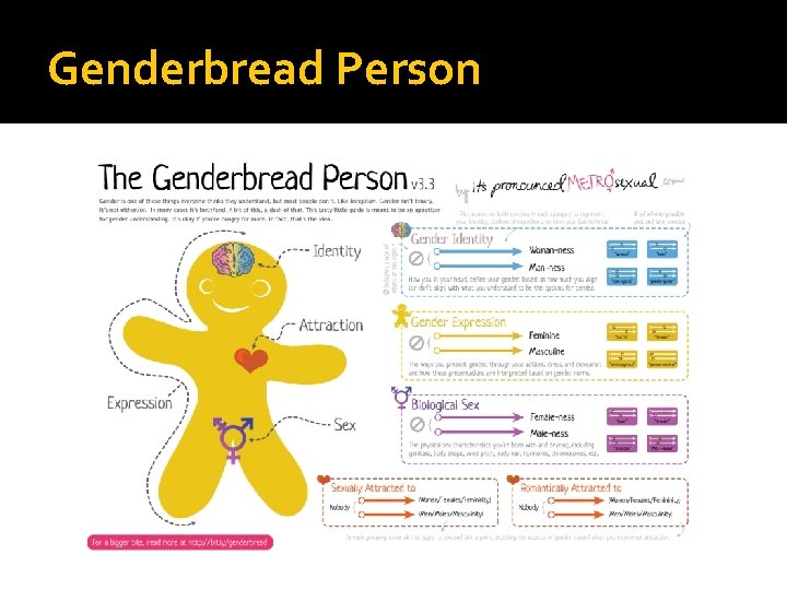 Genderbread Person Genderbread Person