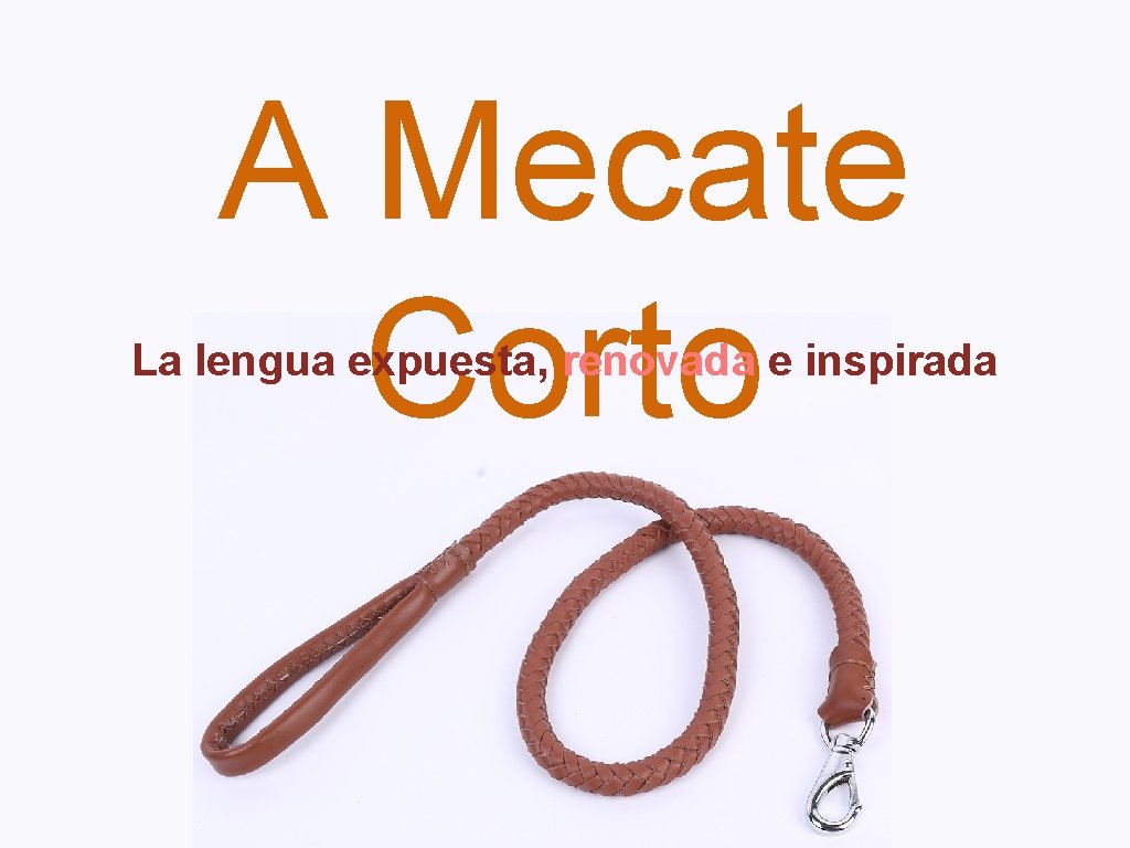 A Mecate Corto La lengua expuesta, renovada e inspirada 