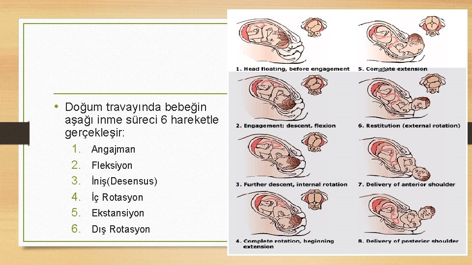  • Doğum travayında bebeğin aşağı inme süreci 6 hareketle gerçekleşir: 1. Angajman 2.