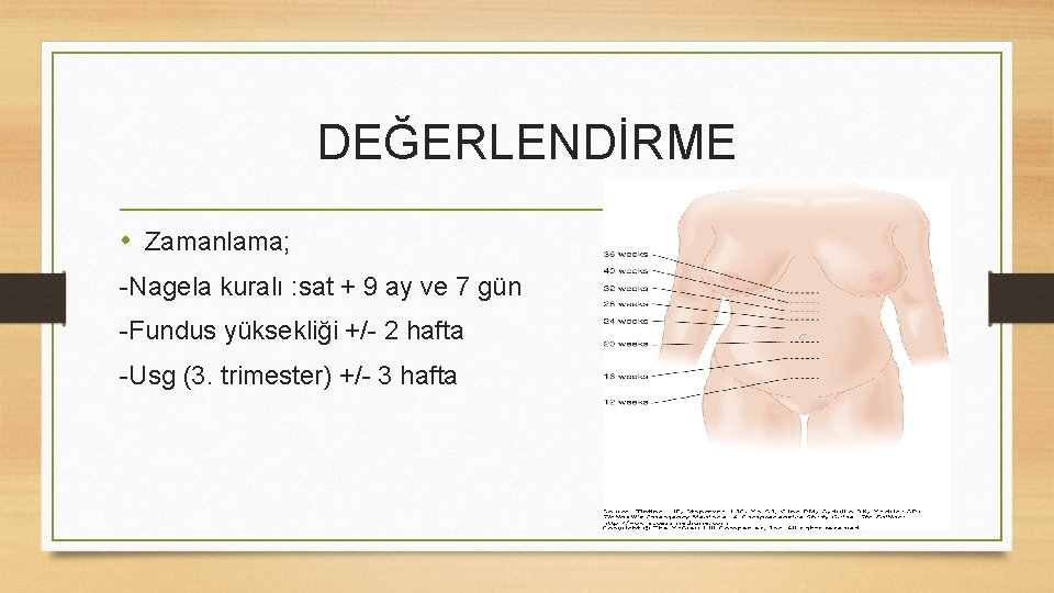 DEĞERLENDİRME • Zamanlama; -Nagela kuralı : sat + 9 ay ve 7 gün -Fundus