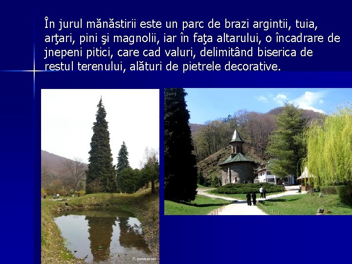 În jurul mănăstirii este un parc de brazi argintii, tuia, arţari, pini şi magnolii, În jurul mănăstirii este un parc de brazi argintii, tuia, arţari, pini şi magnolii,