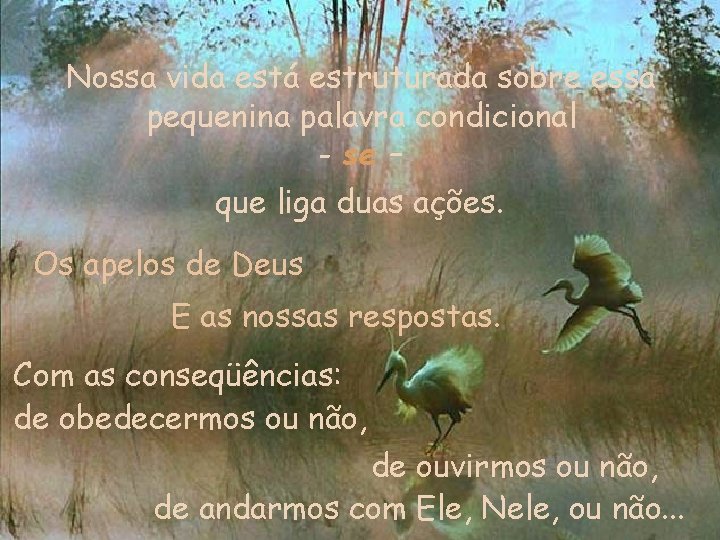 Nossa vida está estruturada sobre essa pequenina palavra condicional - se – que liga