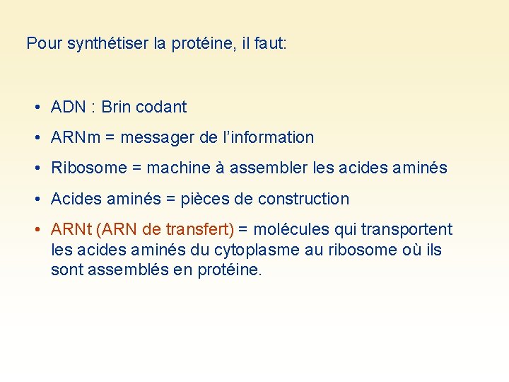 Pour synthétiser la protéine, il faut: • ADN : Brin codant • ARNm =
