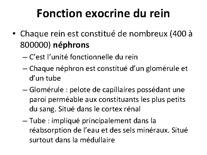 Fonction exocrine du rein • Chaque rein est constitué de nombreux (400 à 800000) Fonction exocrine du rein • Chaque rein est constitué de nombreux (400 à 800000)