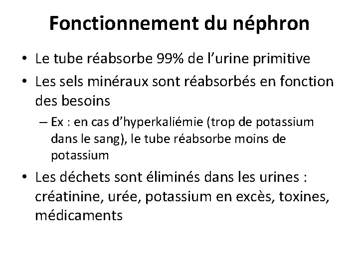 Fonctionnement du néphron • Le tube réabsorbe 99% de l’urine primitive • Les sels Fonctionnement du néphron • Le tube réabsorbe 99% de l’urine primitive • Les sels