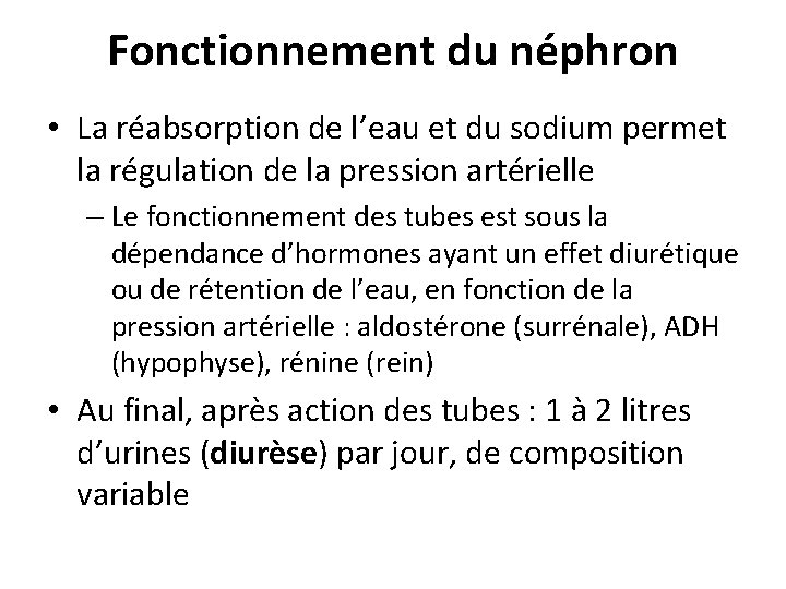 Fonctionnement du néphron • La réabsorption de l’eau et du sodium permet la régulation Fonctionnement du néphron • La réabsorption de l’eau et du sodium permet la régulation