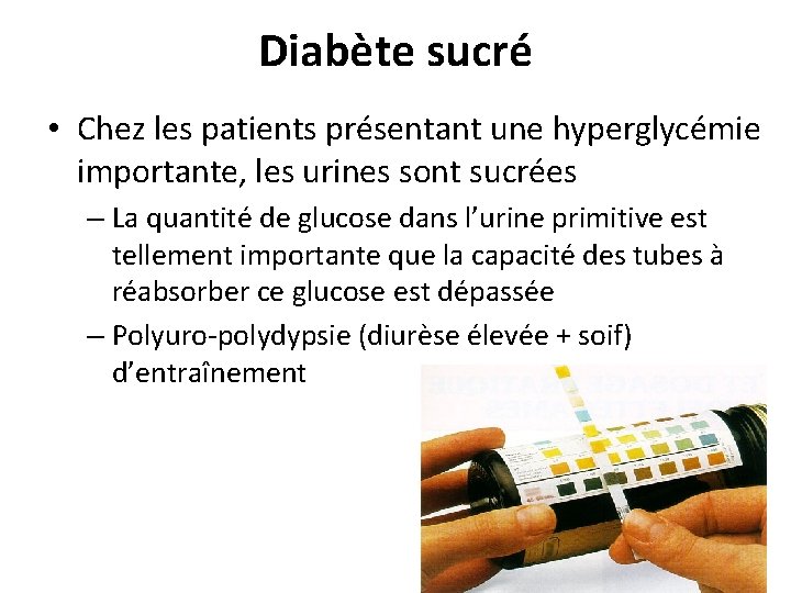 Diabète sucré • Chez les patients présentant une hyperglycémie importante, les urines sont sucrées Diabète sucré • Chez les patients présentant une hyperglycémie importante, les urines sont sucrées
