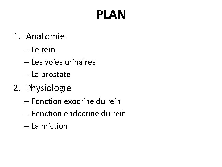 PLAN 1. Anatomie – Le rein – Les voies urinaires – La prostate 2. PLAN 1. Anatomie – Le rein – Les voies urinaires – La prostate 2.