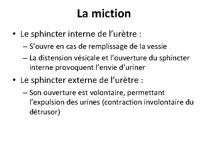 La miction • Le sphincter interne de l’urètre : – S’ouvre en cas de La miction • Le sphincter interne de l’urètre : – S’ouvre en cas de