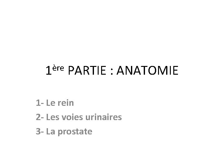 ère 1 PARTIE : ANATOMIE 1 - Le rein 2 - Les voies urinaires ère 1 PARTIE : ANATOMIE 1 - Le rein 2 - Les voies urinaires
