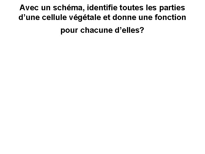 Avec un schéma, identifie toutes les parties d’une cellule végétale et donne une fonction