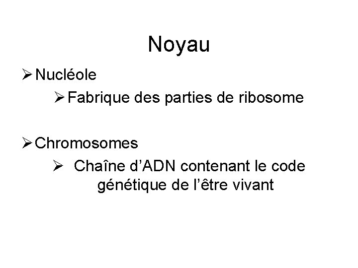 Noyau Ø Nucléole Ø Fabrique des parties de ribosome Ø Chromosomes Ø Chaîne d’ADN