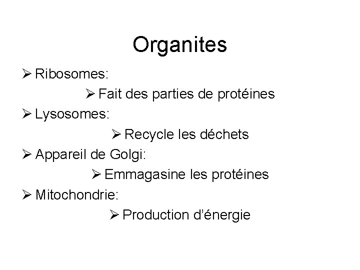 Organites Ø Ribosomes: Ø Fait des parties de protéines Ø Lysosomes: Ø Recycle les