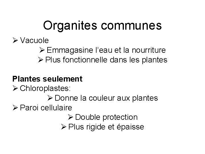 Organites communes Ø Vacuole Ø Emmagasine l’eau et la nourriture Ø Plus fonctionnelle dans