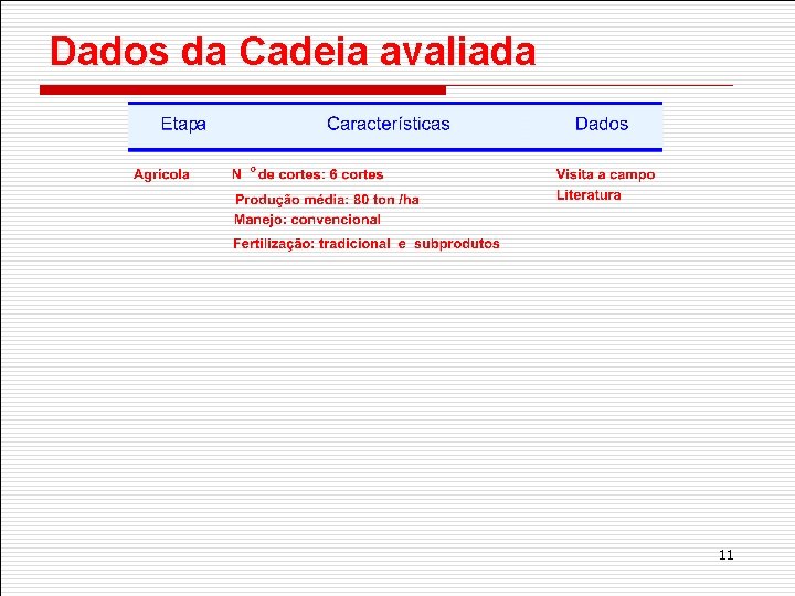 Dados da Cadeia avaliada { 11 