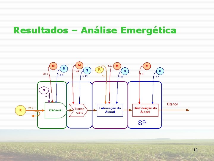 Resultados – Análise Emergética 13 