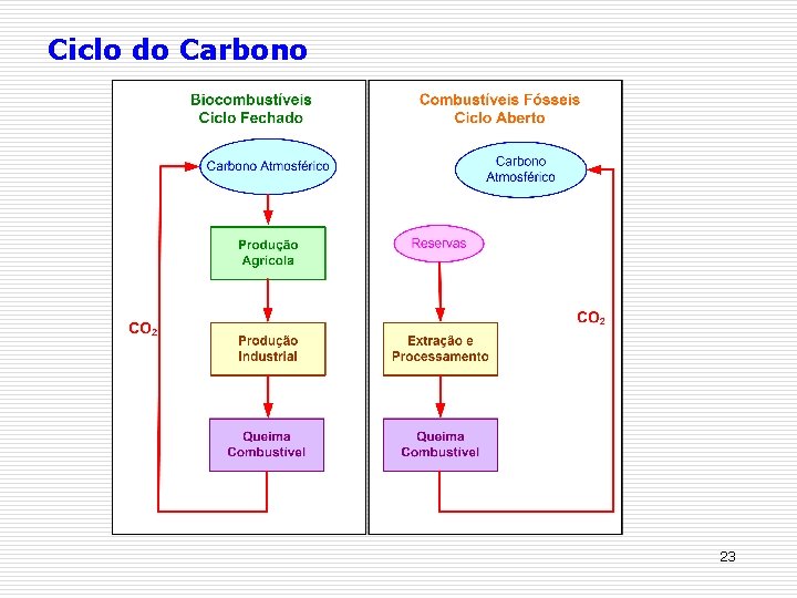 Ciclo do Carbono 23 