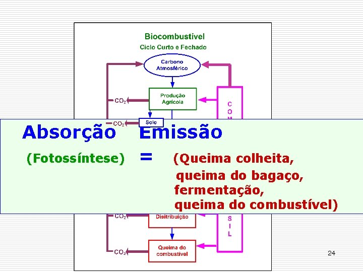 Absorção (Fotossíntese) Emissão = (Queima colheita, queima do bagaço, fermentação, queima do combustível) 24