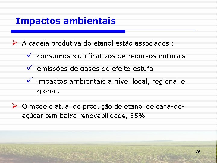 Impactos ambientais Ø Ø À cadeia produtiva do etanol estão associados : ü consumos