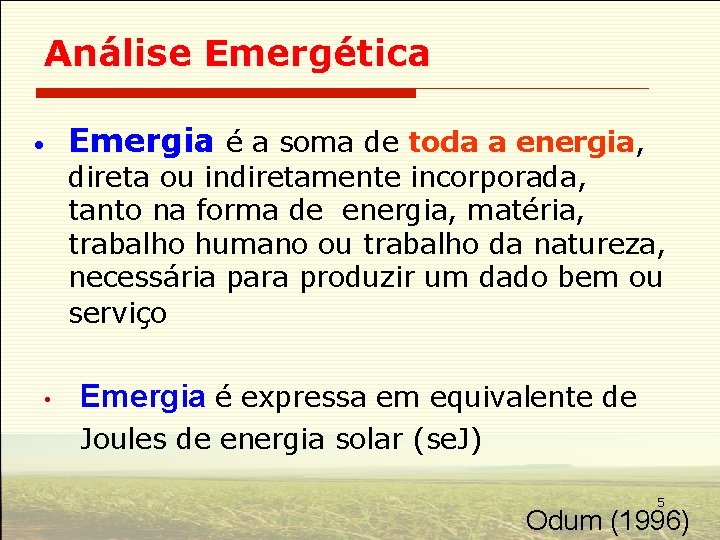 Análise Emergética • Emergia é a soma de toda a energia, direta ou indiretamente