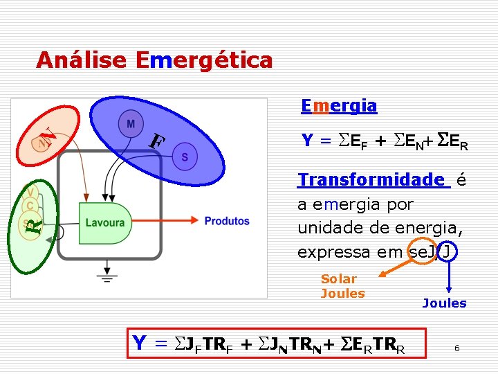 Análise Emergética Emergia R N F Y = S E F + S E