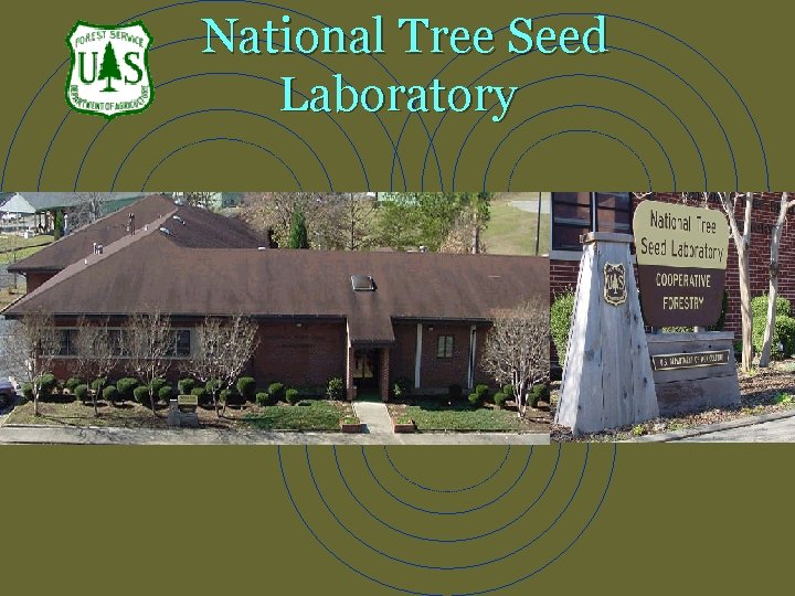 National Tree Seed Laboratory 