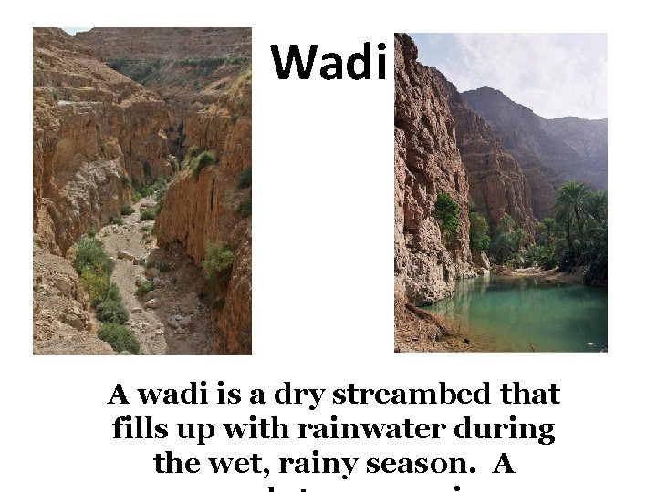 Wadi A wadi is a dry streambed that fills up with rainwater during the