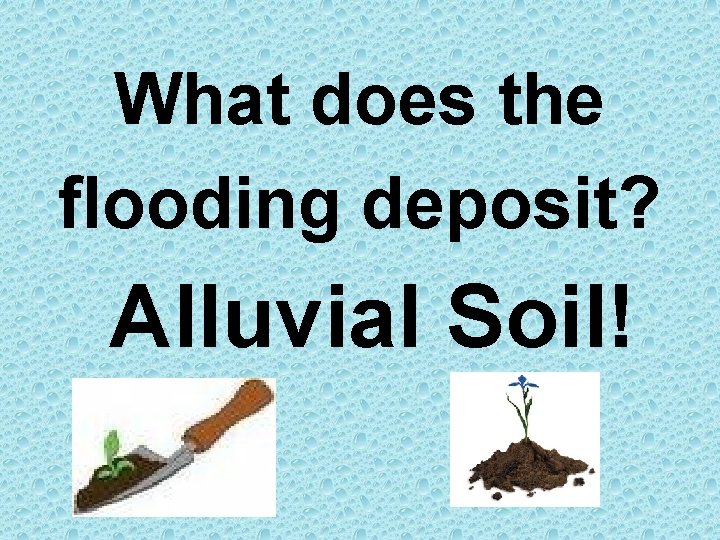 What does the flooding deposit? Alluvial Soil! 