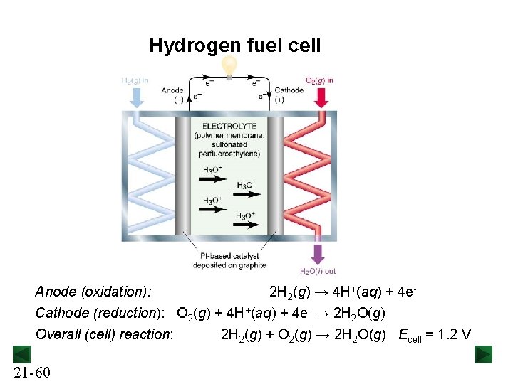 Hydrogen fuel cell Anode (oxidation): 2 H 2(g) → 4 H+(aq) + 4 e.