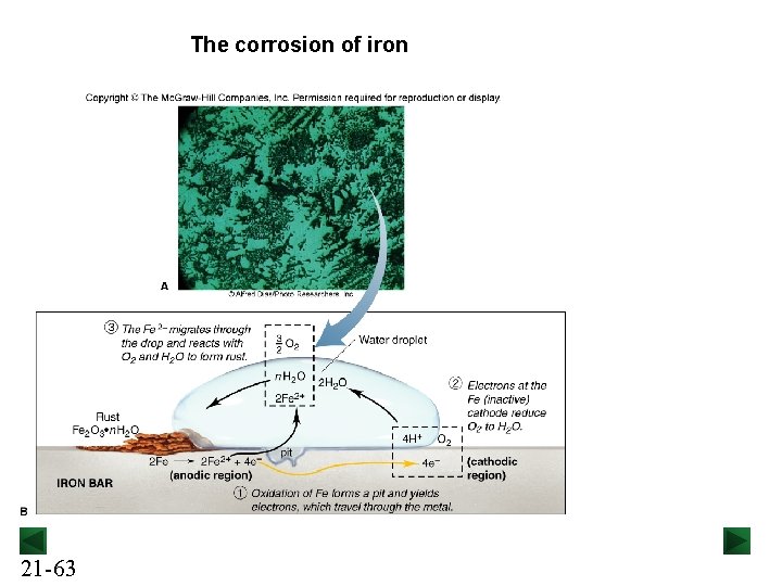 The corrosion of iron 21 -63 