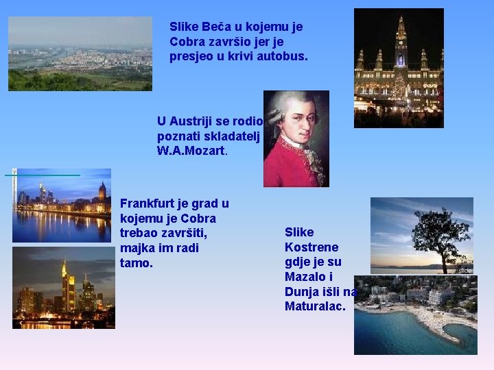 Slike Beča u kojemu je Cobra završio jer je presjeo u krivi autobus. U
