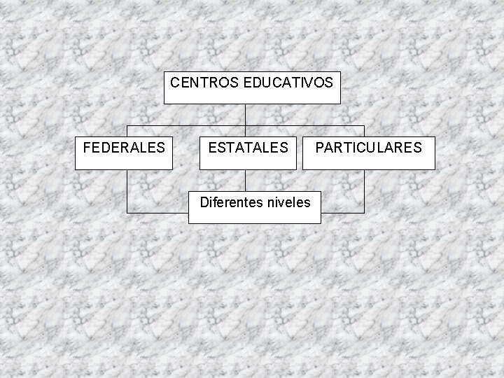 CENTROS EDUCATIVOS FEDERALES ESTATALES Diferentes niveles PARTICULARES 