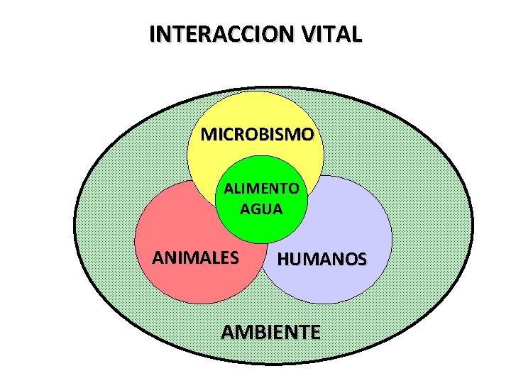 INTERACCION VITAL MICROBISMO ALIMENTO AGUA ANIMALES HUMANOS AMBIENTE INTERACCION VITAL MICROBISMO ALIMENTO AGUA ANIMALES HUMANOS AMBIENTE