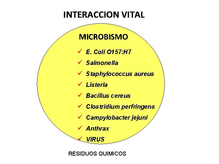 INTERACCION VITAL MICROBISMO ü E. Coli O 157: H 7 ü Salmonella ü Staphylococcus