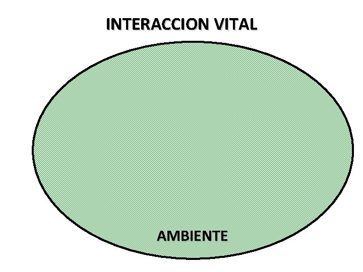 INTERACCION VITAL AMBIENTE 