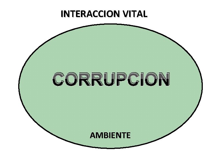INTERACCION VITAL CORRUPCION AMBIENTE 