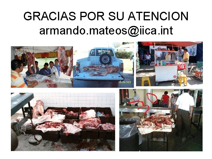 GRACIAS POR SU ATENCION armando. mateos@iica. int 