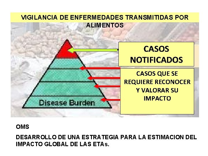 VIGILANCIA DE ENFERMEDADES TRANSMITIDAS POR ALIMENTOS CASOS NOTIFICADOS CASOS QUE SE REQUIERE RECONOCER Y VIGILANCIA DE ENFERMEDADES TRANSMITIDAS POR ALIMENTOS CASOS NOTIFICADOS CASOS QUE SE REQUIERE RECONOCER Y