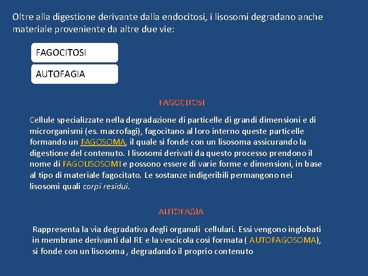 Oltre alla digestione derivante dalla endocitosi, i lisosomi degradano anche materiale proveniente da altre