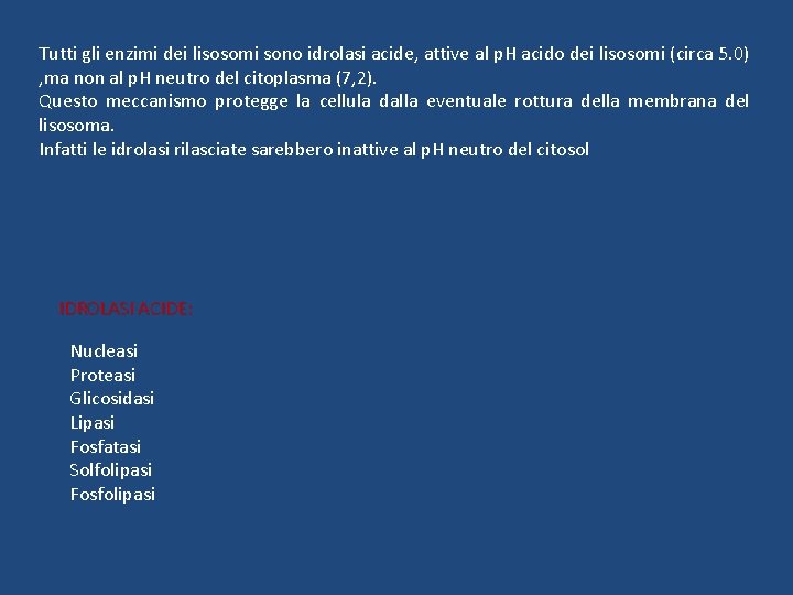 Tutti gli enzimi dei lisosomi sono idrolasi acide, attive al p. H acido dei