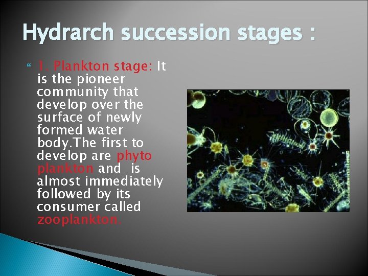 Hydrarch succession stages : 1. Plankton stage: It is the pioneer community that develop