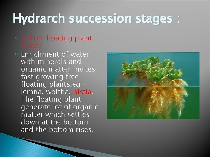 Hydrarch succession stages : 4. Free floating plant stage: Enrichment of water with minerals